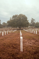 Fototapeta na wymiar Arlington Cemetery