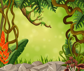 Background scene with trees in forest