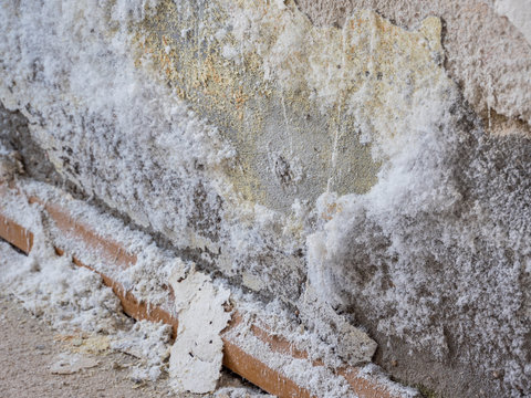 Salpeter an einer Wand