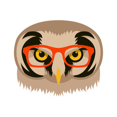 Fototapeta premium owl in glasses face vector illustration flat