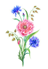 Bouquet of poppies, cornflowers and ears, watercolor drawing on a white background isolated with clipping path.