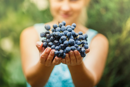 the girl is holding a fresh juicy ripe grapes
