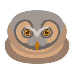 owl  head  face vector illustration flat style front