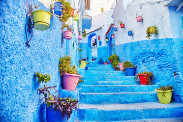 Morocco is the blue city of Chefchaouen, endless streets painted in blue color. Lots of flowers and...