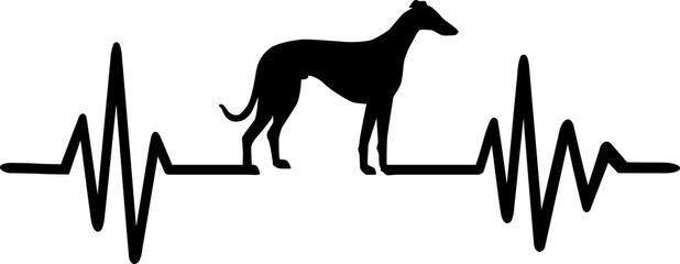 Whippet heartbeat