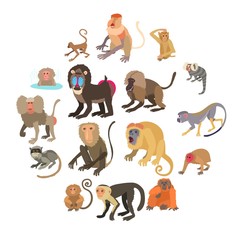 Monkeys types icons set, cartoon style