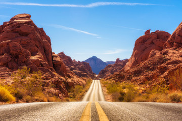 Road running through the Valley of Fire in Nevada - obrazy, fototapety, plakaty