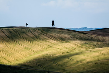 View of Green hills in Tuscany, Italy.