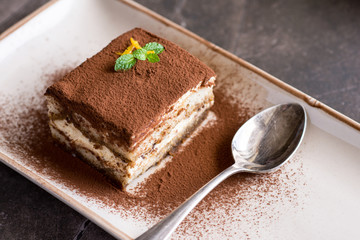 Tiramisu Cake Homemade Dessert with Mascarpone Cheese and Espresso Coffee