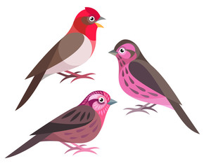 Stylized Rosefinches
