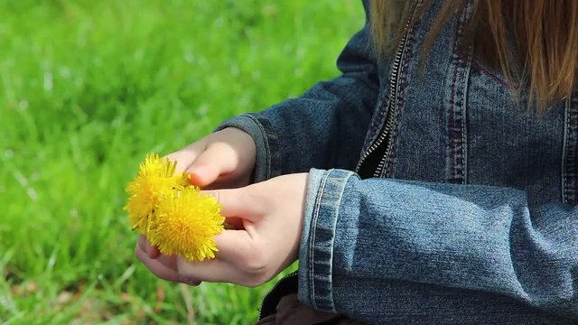 Closeup view of hands of young 11 years old girl trying to make yellow dandelion wreath of fresh flowers outdoor at green sunny spring park.