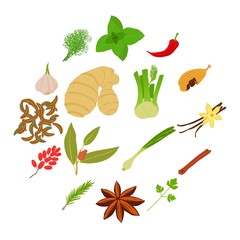 Spices icons set, cartoon style
