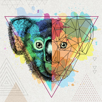 Hipster animal realistic and polygonal koala on artistic watercolor background