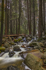 Bridalveil Creek flows from a full and flowing Bridalveil Falls as Spring melts the snow.