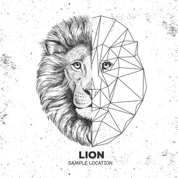 Hipster animal realistic and polygonal lion face. Triangle animal
