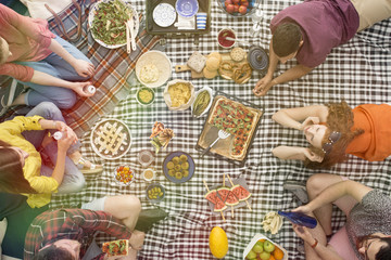 Bio, vege food picnic