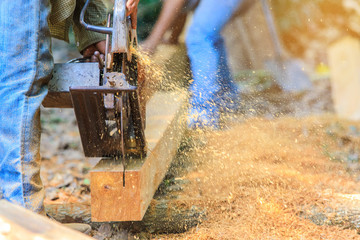 The lumberjack cutting the timber for  lumber by circular saw.