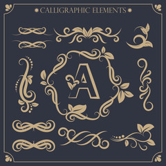 Vector set of calligraphic design elements and page decorations5