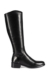 Black female leather shoes isolated on white background