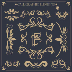 set of calligraphic design elements and page decorations