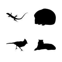 icon Animal with patch, pet, zoo, reptile and desing