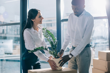 smiling multiethnic coworkers holding potted plant while relocating in new office