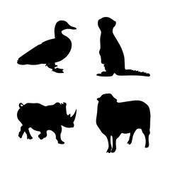 icon Animal with engrave, comic, duck, hairy and rhinoceros