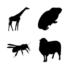 icon Animal with desing, safari, honeybee, summer and lamb