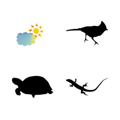 icon Animal with reptile, nature, sun, aquatic and black