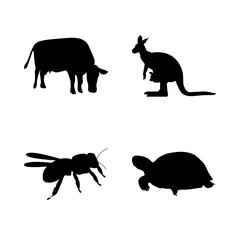 icon Animal with fly, young, black, antenna and ocean