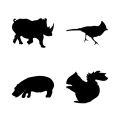 icon Animal with forest, nature, seo, africa and thrush bird