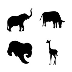 icon Animal with festival, psychedecil, background, safari and animals