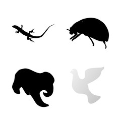 icon Animal with black, small, dove, love and bright