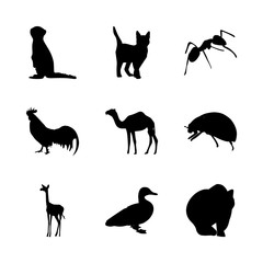 icon Animal with caravan, black, wild, comic and duck