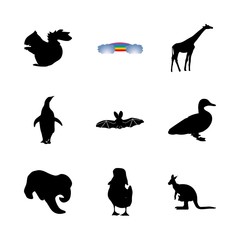 icon Animal with forest, nature, friday 13, penguin and simple