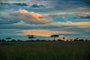 African Sunrise
