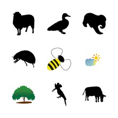 icon Animal with comic, aves, animals, humor and honeybee
