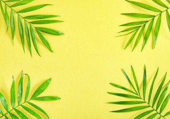 Palm leaves yellow background Floral flat lay Summer holidays