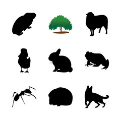 icon Animal with ant, biological, macro, parasitic and duckling