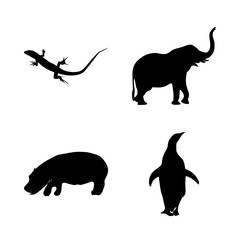 icon Animal with hippopotamus, iguana, yoga, hippo and psychedecil