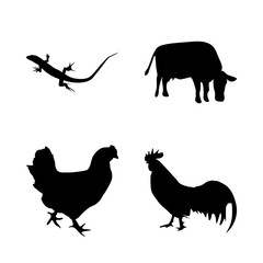 icon Animal with chicken, lizard, monochrome, cock and coloring