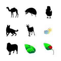 icon Animal with ladybird, horn, funny, sketch and cloud