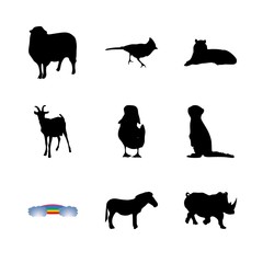 icon Animal with meerkat, speeh, duckling, cute and tiger