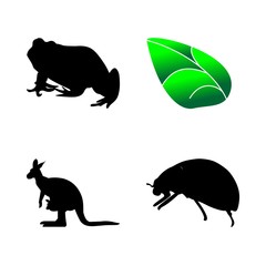 icon Animal with beauty, ladybird, drawing, jump and leaf