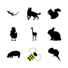 icon Animal with bumblebee, reptile, hippopotamus, savanna and isolated