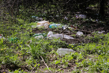 Plastic bottles on the forest ground
