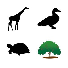 icon Animal with mandala, summer, organic, vintage and bird