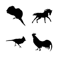 icon Animal with mustang, head, riding, farm and hen