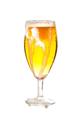 lager draft beer in a glass isolated on white background