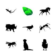 icon Animal with honey, thrush bird, forest, ant and coloring